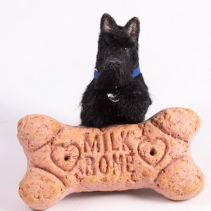 Puppenhaus-Miniatur Bettelhund Mini Scottie Scottish Terrier Künstlermodell 1:12