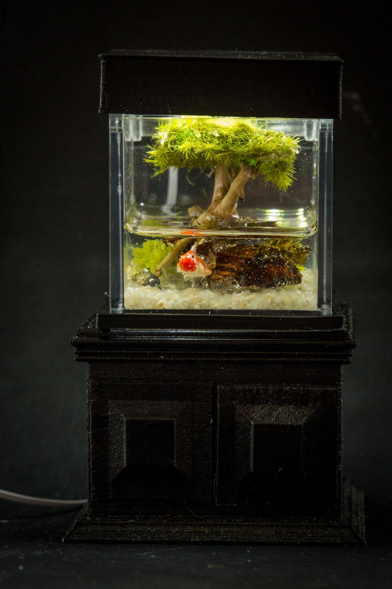 Dollhouse Miniature Reptile Terrarium Turtle Tank Frog Bonsai Etsy