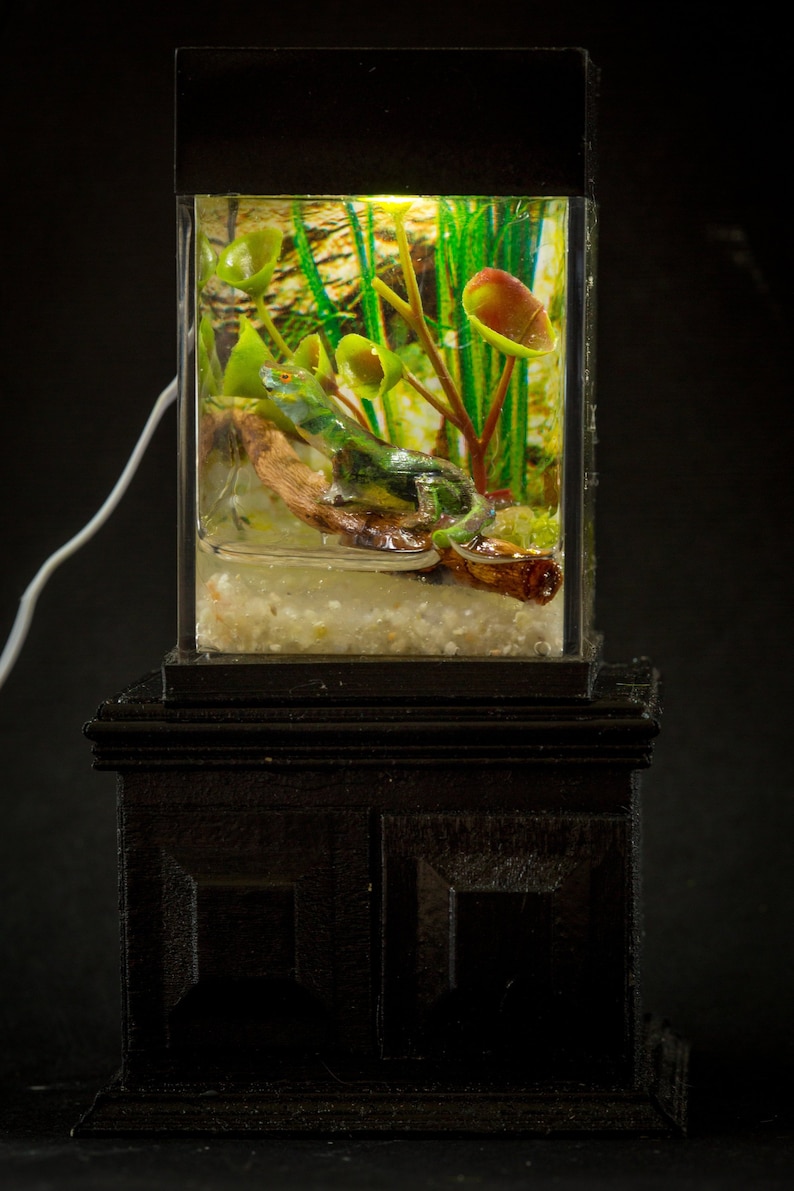 Dollhouse Miniature Reptile Terrarium Green Lizard Tank Etsy