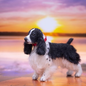 Dollhouse Miniature Dog Black and White Standing English Springer Spaniel Artist Sculpted Furred OOAK Dog 1:12 Scale