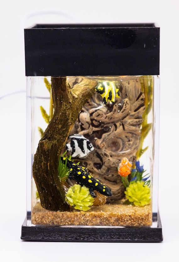 Dollhouse Miniature Fresh Water Salamander Goldfish Turtle Tank Aquarium  With Electric Mini Plug in Lighted Hood Hand Made OOAK NO STAND 