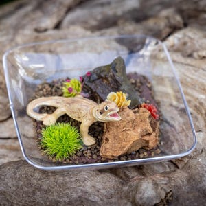 Dollhouse Miniature Reptile Terrarium Bearded Dragon Tank Aquarium Vivarium Miniature Display Bowl