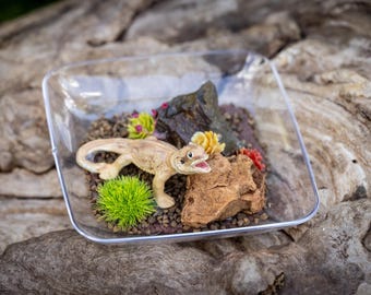 Dollhouse Miniature Reptile Terrarium Bearded Dragon Tank Aquarium Vivarium Miniature Display Bowl
