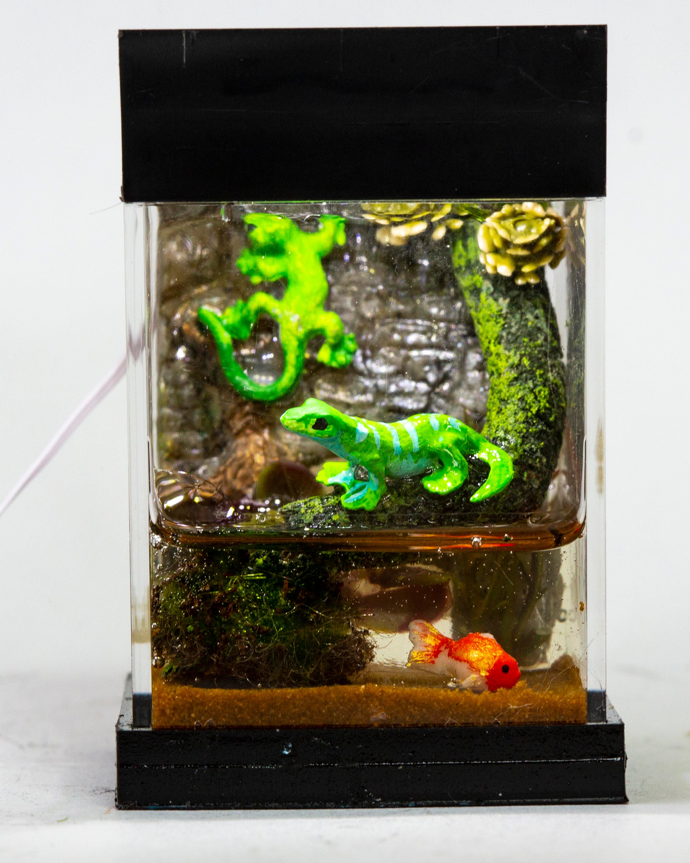 Dollhouse Terrarium Green Lizard Fish Etsy