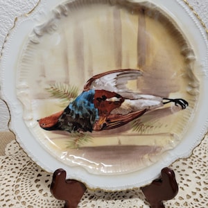 Limoges  Decorative Bird Plate