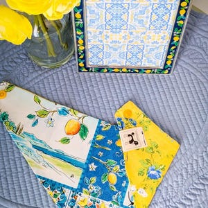 Tuscan Summer, reversible snap on Summer Pawliday pet bandana