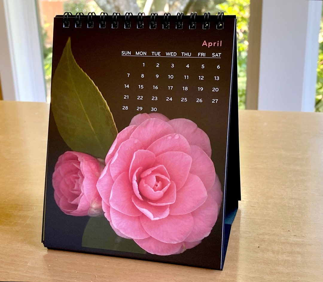 2024 Flower Calendar Easel Desk Calendar Dramatic Floral Garden