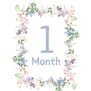 Cartes d'étape mensuelles pour bébé - Motif floral aquarelle (téléchargement numérique) - Mois 1-12