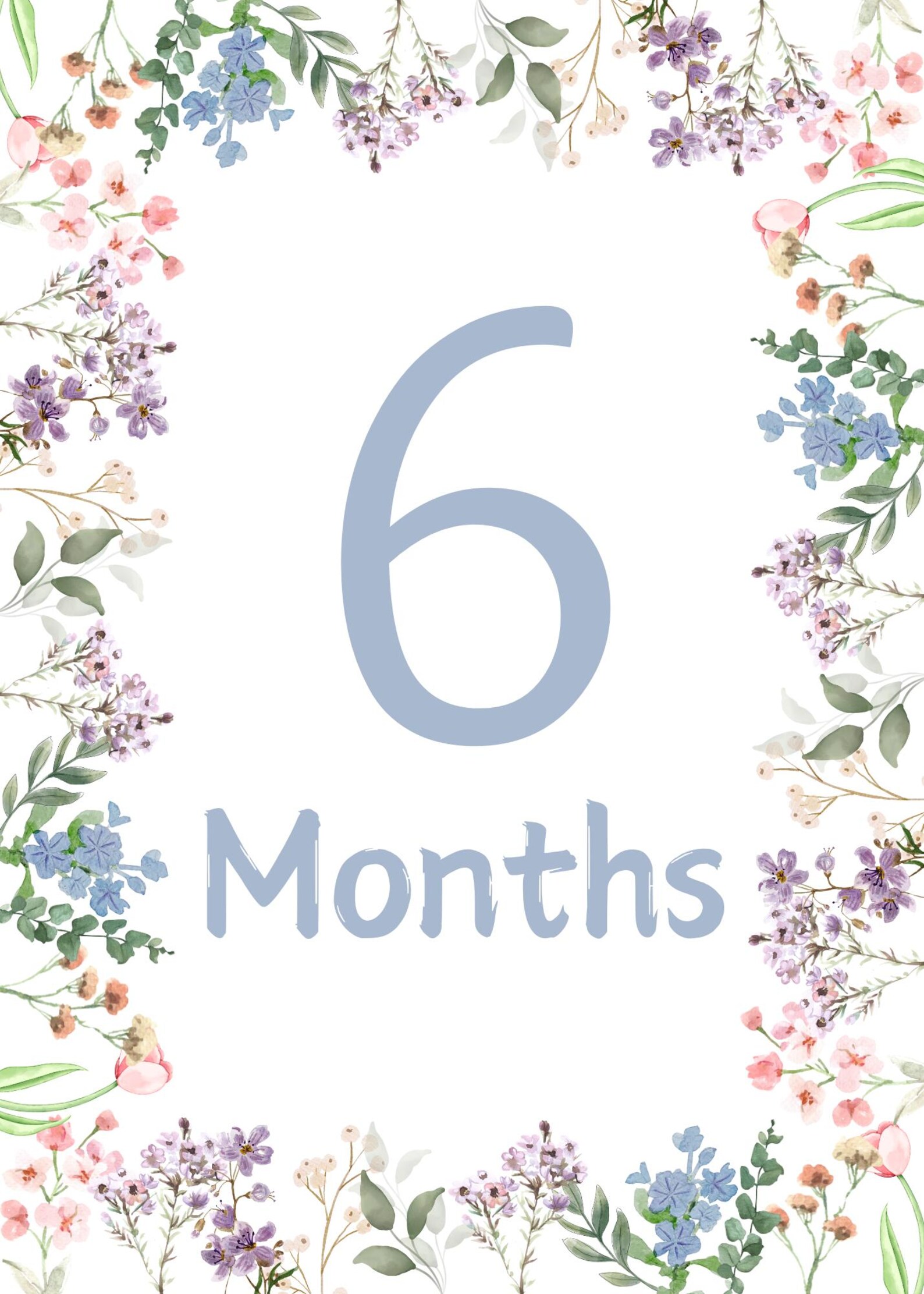 Baby Monthly Milestone Cards - Watercolor Floral Design (digital ...