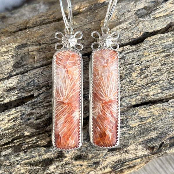 Salmon and White Fossil Coral Earrings