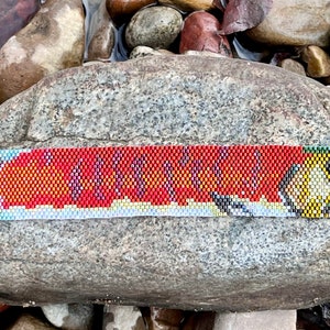 Può includere: Un braccialetto di perline con un design di pesce colorato. Il braccialetto è rosso, giallo, verde, blu e bianco. Ha una chiusura argentata con un design di libellula.