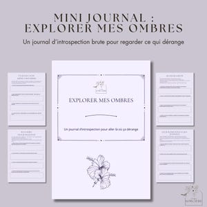 May include: A light purple journal titled "EXPLORER MES OMBRES" with the text "Un journal d'introspection brute pour regarder ce qui dérange". The journal has a floral illustration and several smaller pages.