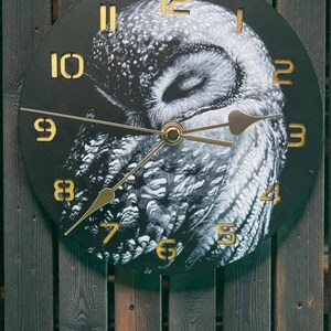 May include: Circular wall clock with a black face, gold numerals, and hands. The clock features a detailed black and white owl design. The clock is mounted on a wooden fence.