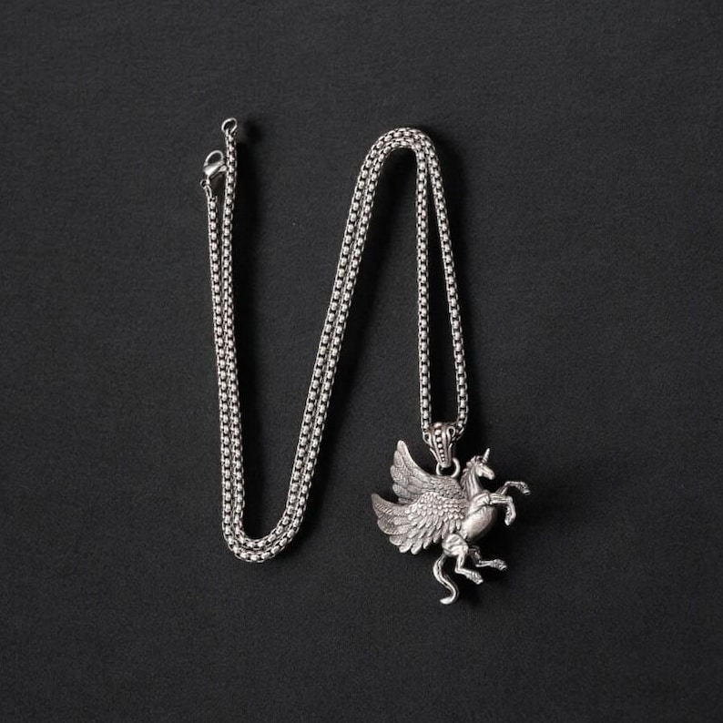 May include: A silver chain necklace with a winged unicorn pendant. The pendant is detailed and has a textured finish.