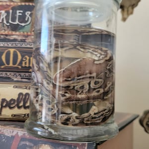 May include: A white ceramic mug with a black handle and the text "But First, Coffee" in a black, handwritten-style font. The mug is on a white surface.