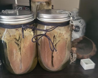 wet specimen friendship hearts.