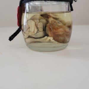 Deformed fetal chick