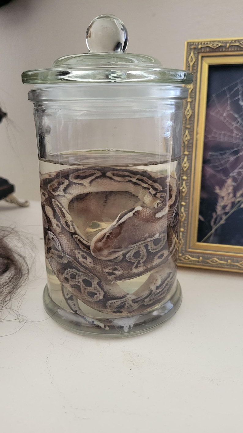 May include: A handmade wooden sign displaying the word "Welcome" in a whimsical font. The white-painted sign has a distressed finish and a small heart detail. Suitable for indoor or outdoor display.