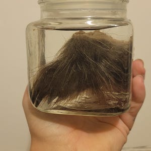 porcupine foot