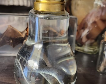 small tree snake in a light bulb.