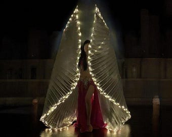 LED Light Up Wings | Butterfly Wings | Belly Dance Wings | Festival Costume | Performance Props