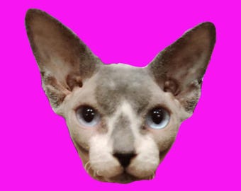 Marik, Hairless Cat Key Chain | Acrylic Keyring