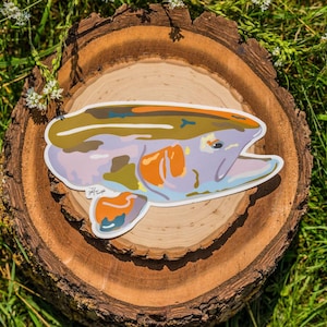 Colorful Fish Decal - Steelhead