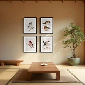 Bird collection water color paintings, fairy wren, sparrow, robin, rose finch, and blue titmouse. Digital print.