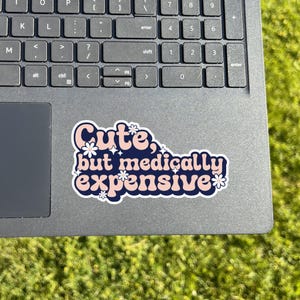 May include: A sticker on a laptop with the text "Cute, but medically expensive" in a retro font. The sticker has a navy blue border with white and pink text and floral accents. The laptop is grey, and the background is green.