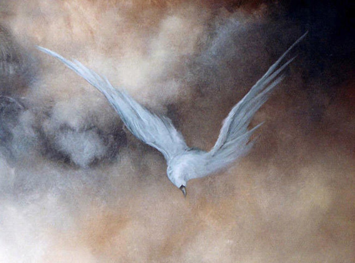 Holy Spirit Art Print White Bird Spiritual Art Religious - Etsy