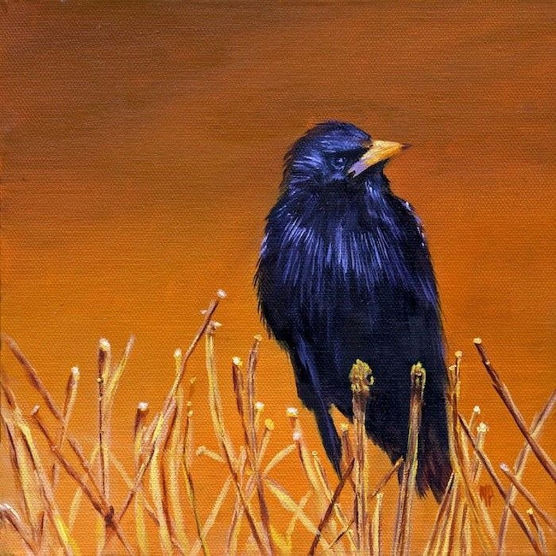 Crow Blackbird Art Print Crow Art Bird Print Home Decor - Etsy