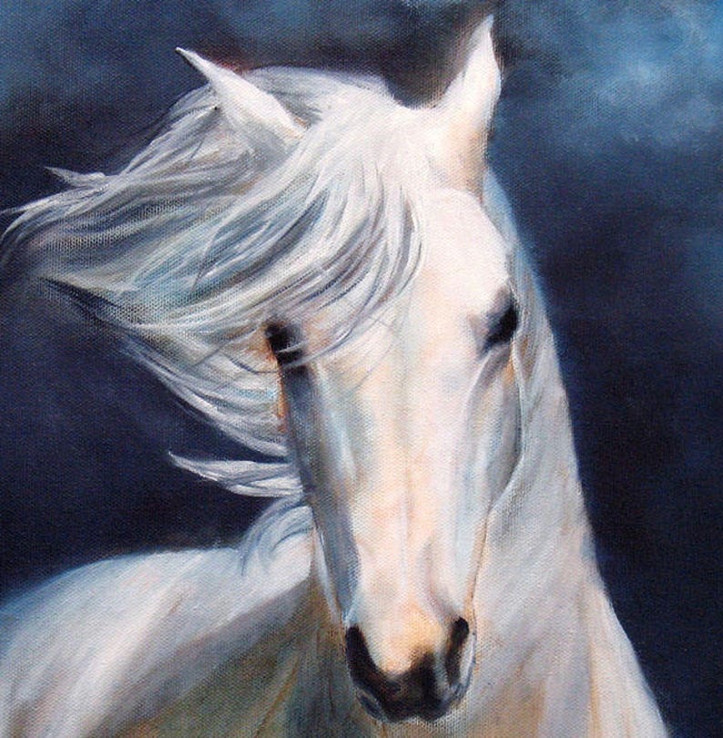 White Horse Art Print Poster Horse Print Equine Art Horse Etsy