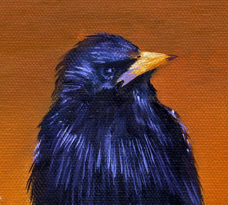 Crow Blackbird Art Print Crow Art Bird Print Home Decor - Etsy
