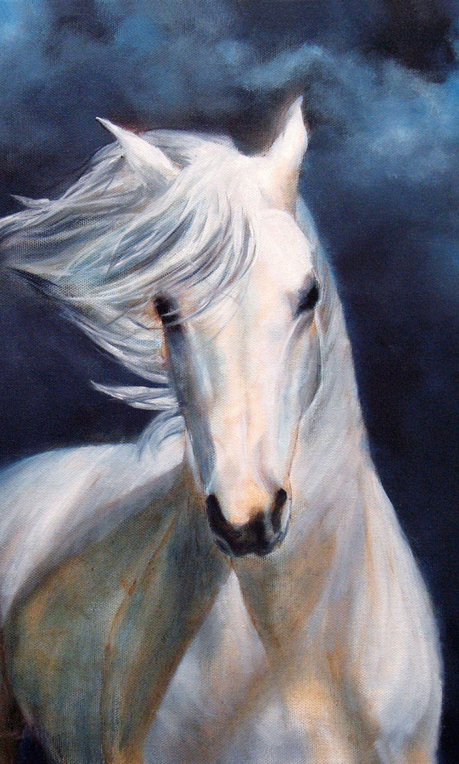 White Horse Art Print Poster Horse Print Equine Art Horse Etsy