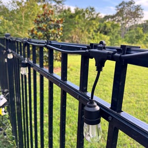 May include: Black metal fence with string lights. The clear, bulb-shaped lights are suspended from a black wire, creating a decorative outdoor lighting arrangement. The background features green grass and trees under a blue sky.