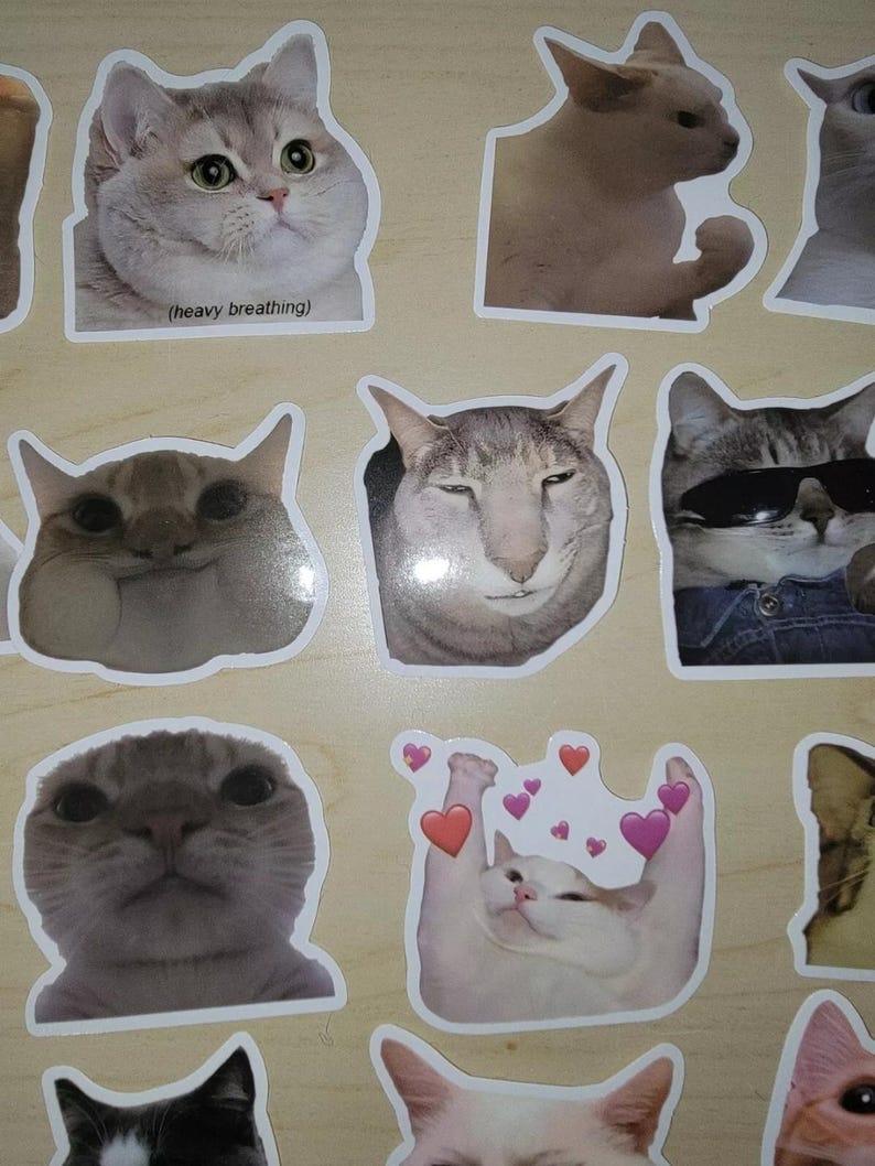 Cat Meme Stickers: 50 Funny Kitty Decals for Laptop, Phone - Etsy