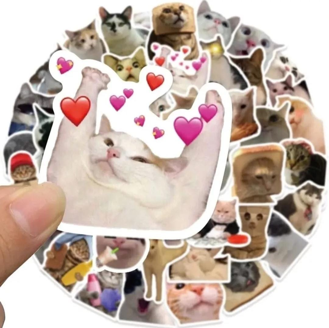 Cat Meme Stickers: 50 Funny Kitty Decals for Laptop, Phone - Etsy