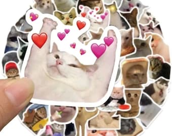 Stickers mèmes chat : 50 stickers chatons rigolos pour ordinateur portable, téléphone