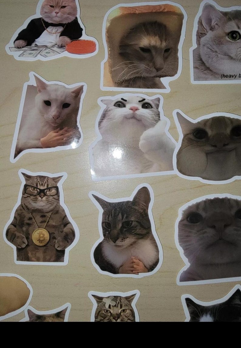 Cat Meme Stickers: 50 Funny Kitty Decals for Laptop, Phone - Etsy
