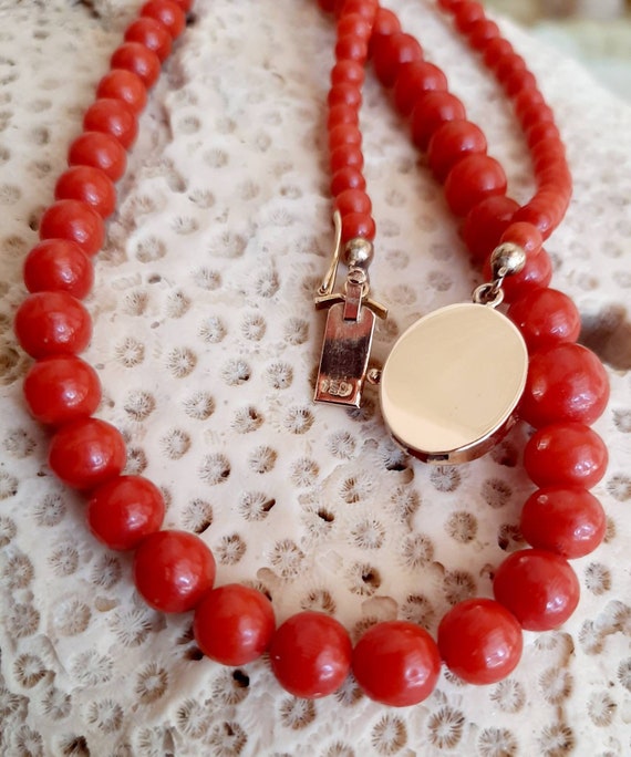 Vintage Red Coral, Mediterranean Red Coral, AAA G… - image 5