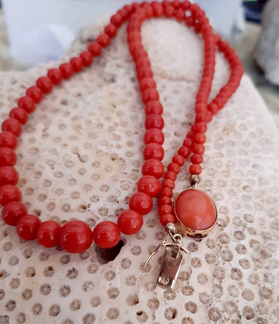 Vintage Red Coral, Mediterranean Red Coral, AAA G… - image 1