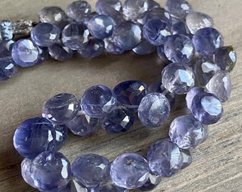 Iolite faceted onion shape briolette- 6.5mm- 6 briolette