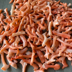 Genuine Japanese Coral branch- 6 pieces