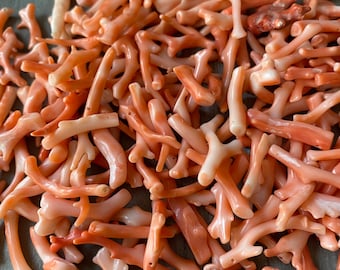 Genuine Japanese Coral branch- 20-23mm- 6 pieces