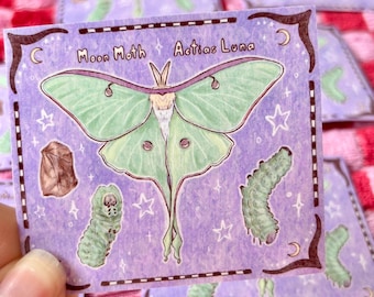Luna Moth Aufkleber: Glänzender wasserdichter Aufkleber