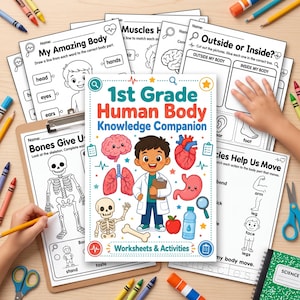 May include: A 1st Grade Human Body Knowledge Companion workbook cover featuring a cartoon doctor surrounded by illustrations of a brain, heart, lungs, stomach, skeleton, bone, apple, and water bottle, with various educational worksheets underneath.
