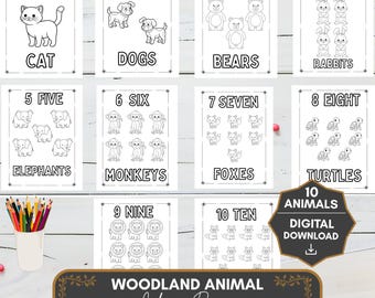 Woodland Animal Coloring Pages for Kids | Autumn Nature Activity Printable PDF