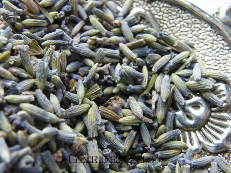 Lavender Sleep Sachets Luggage Freshener Travel Aid Stylish Etsy