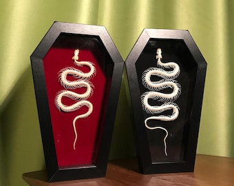 May include: Two black coffin-shaped shadow boxes containing white snake skeletons. One shadow box features a deep red velvet backing, while the other shadow box features a black backing. Both skeletons are arranged in a winding, serpentine position.