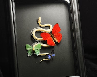 May include: A black rectangular frame containing a white snake skeleton arranged in a curved shape. Three butterflies are positioned along the skeleton: one large bright red butterfly, one medium light green butterfly, and one small dark blue butterfly.